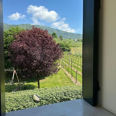 Casa Vacanze Ricca Vigna 발도비아데네 외부 사진