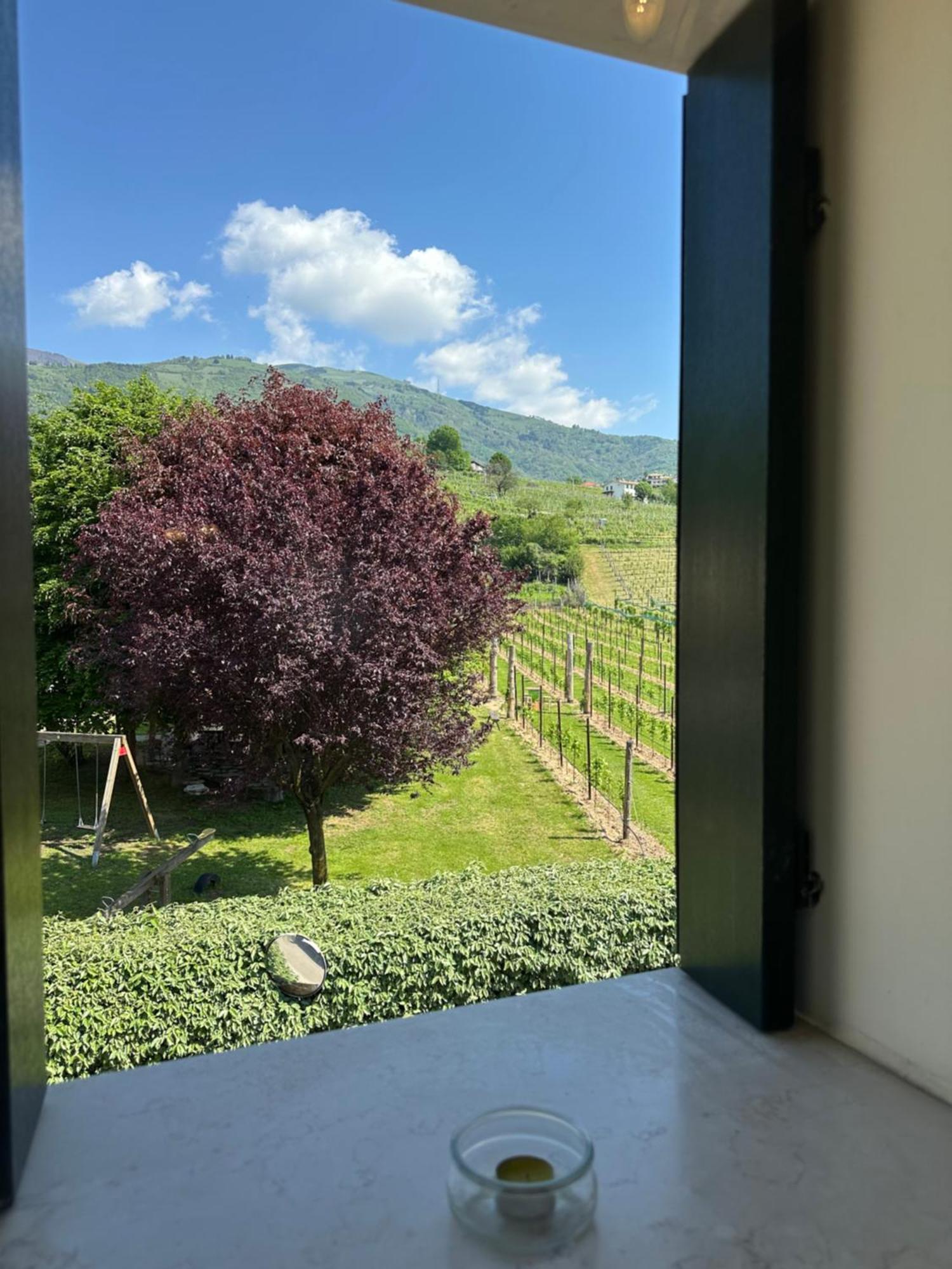 Casa Vacanze Ricca Vigna 발도비아데네 외부 사진